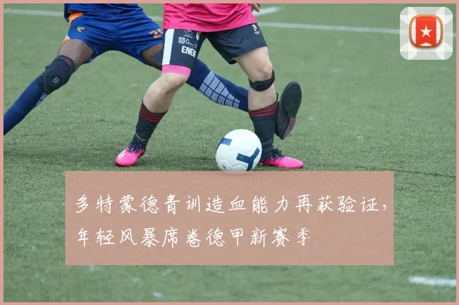 多特蒙德青训造血能力再获验证,年轻风暴席卷德甲新赛季
