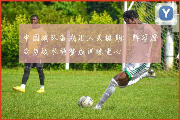 中国战队备战进入关键期：阵容磨合与战术调整成训练重心