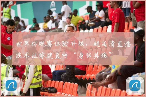 世界杯观赛体验升级，超高清直播技术让球迷直呼“身临其境”