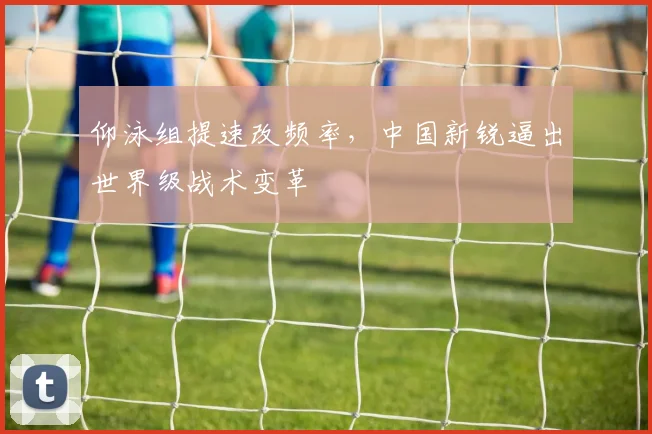 仰泳组提速改频率，中国新锐逼出世界级战术变革