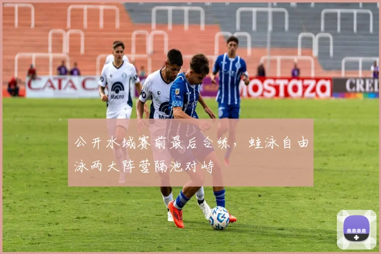 公开水域赛前最后合练，蛙泳自由泳两大阵营隔池对峙