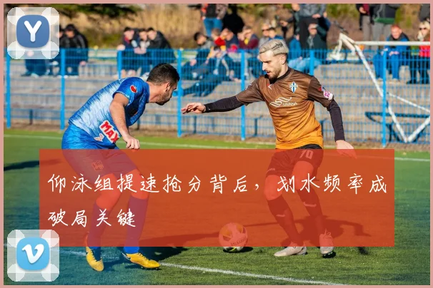 仰泳组提速抢分背后，划水频率成破局关键